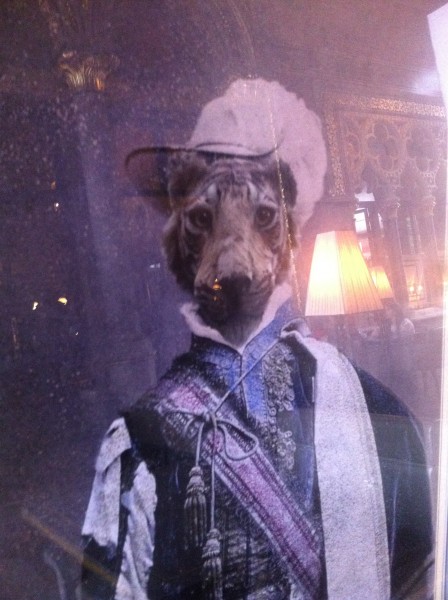 Leo at The Gilbert Scott (Jessica Adams).