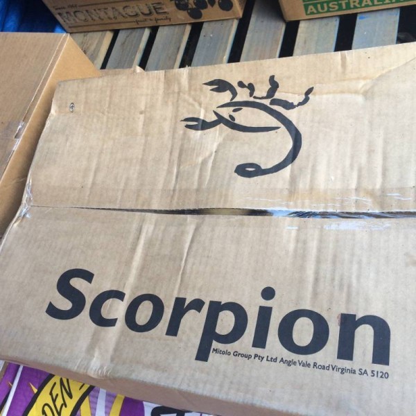 Scorpion