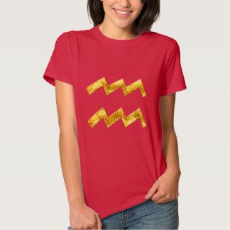 Fantastic Aquarius T-shirt from zazzle.com.au